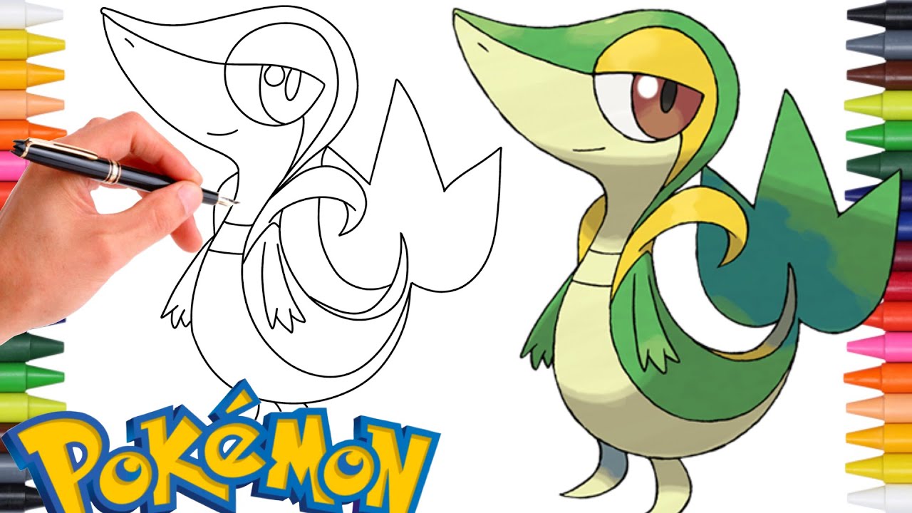 Comment Dessiner LE POKÉMON VIPÉLIERRE (Snivy) #495 | Génération 5