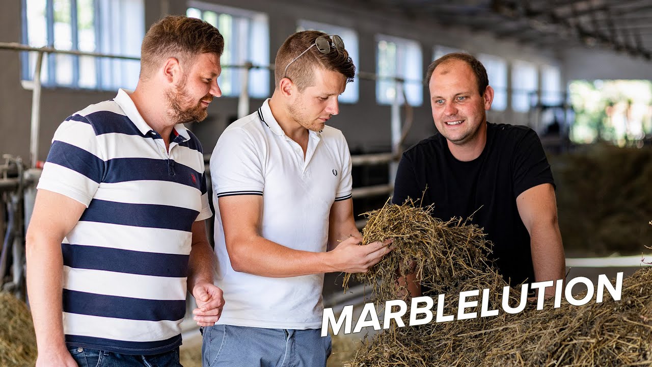 Marblelution Wagyu aus Thüringen: Höchste Standards für Fleischgeschmack & Marmorierung