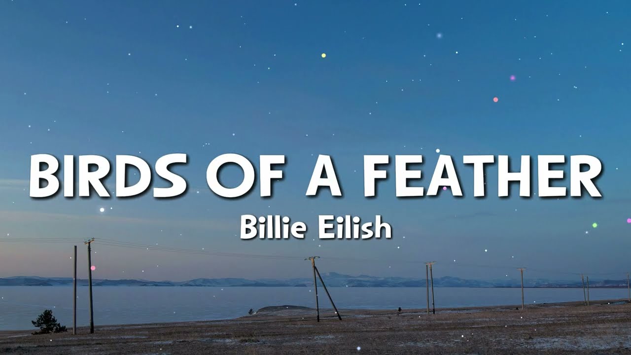 Billie Eilish - BIRDS OF A FEATHER (Lyrics)