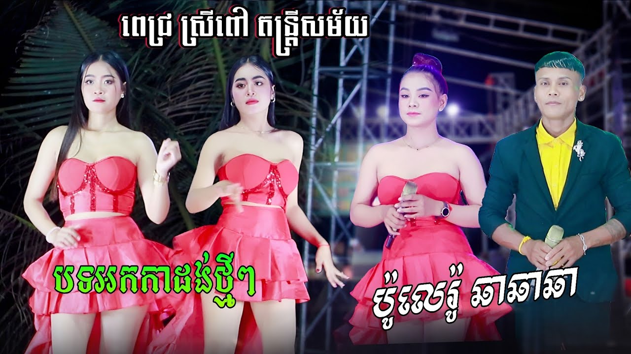 អកកាដង់បទថ្មីៗ ពិរោះៗ ចង្វាក់ប៉ូលេរ៉ូ ឆាឆាឆា កំពុងល្បីៗ | ពេជ្រ ស្រីពៅ តន្រ្តីសម័យ
