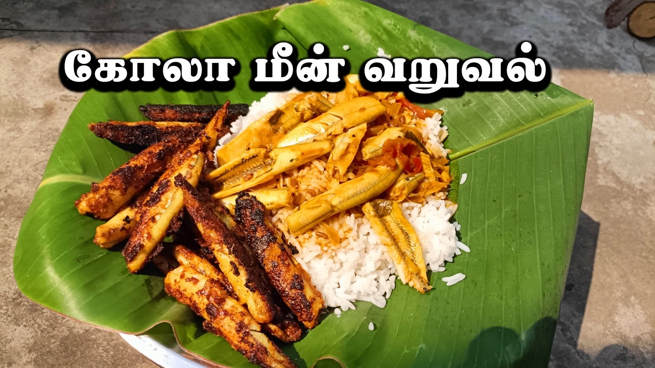 கோல்வாசி மீன் குழம்பு & வறுவல் 😋 |  Kolvasi Meen Kolambu & Varuval Tamil