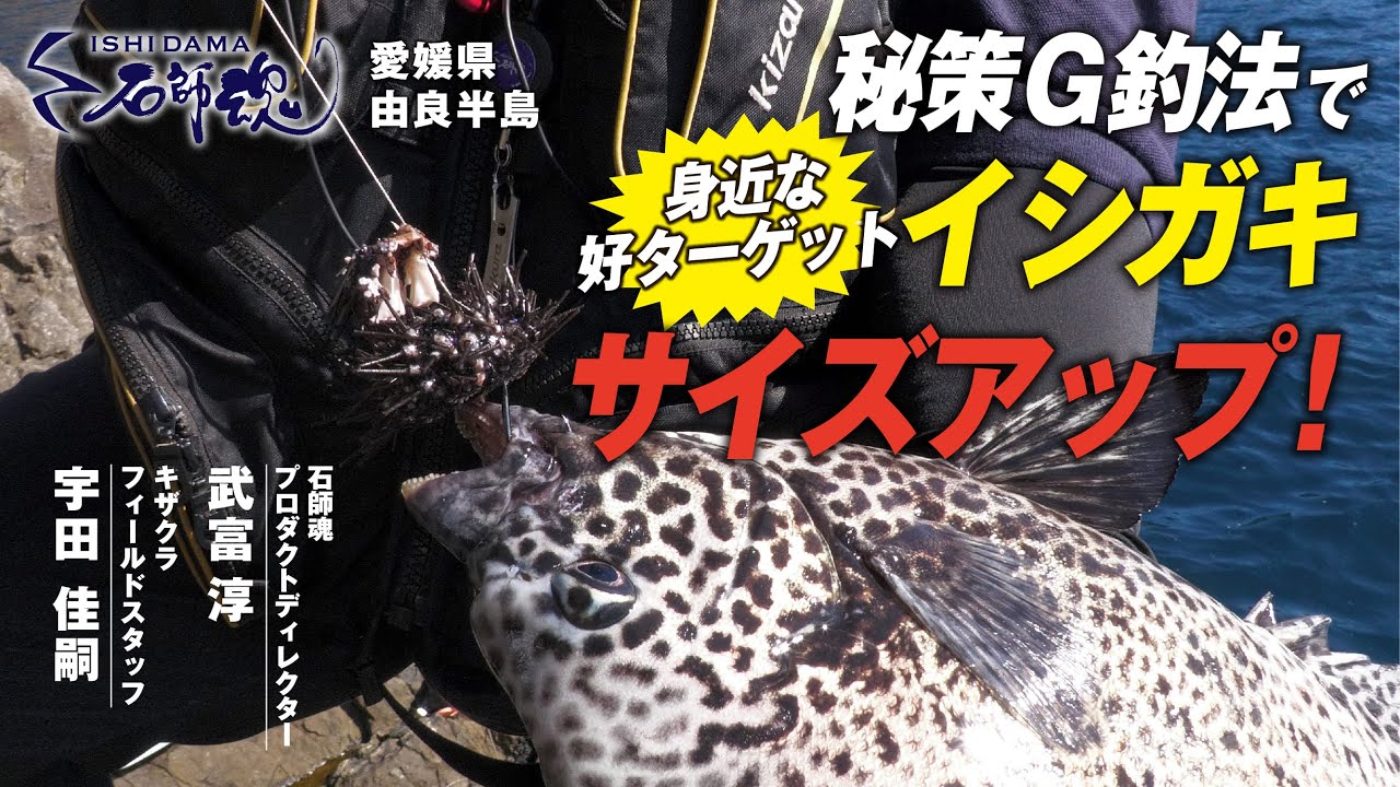 【秘策！/石師魂】G釣法で身近な好ターゲットイシガキ サイズアップ（前編）【イシダイ釣り】