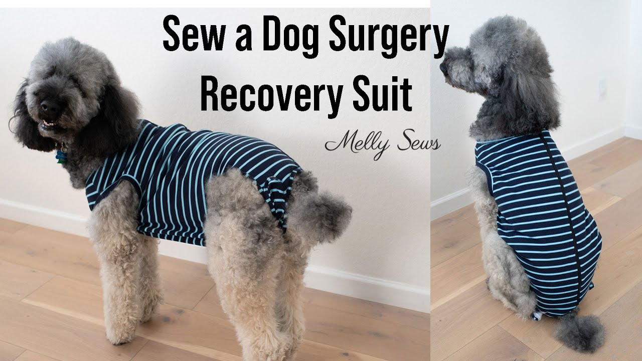 Make a Dog Surgery Shirt