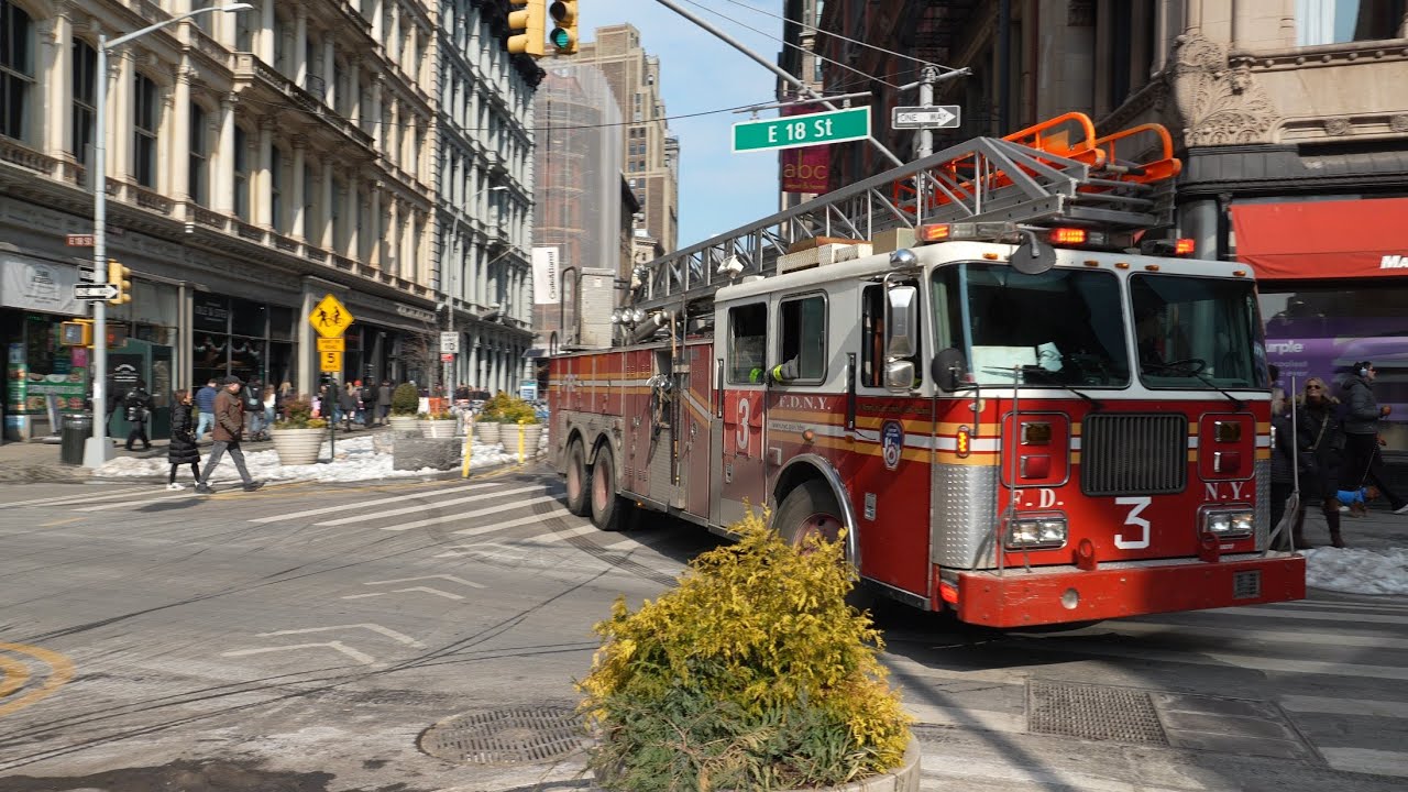 Chinese New Year in New York LIVE