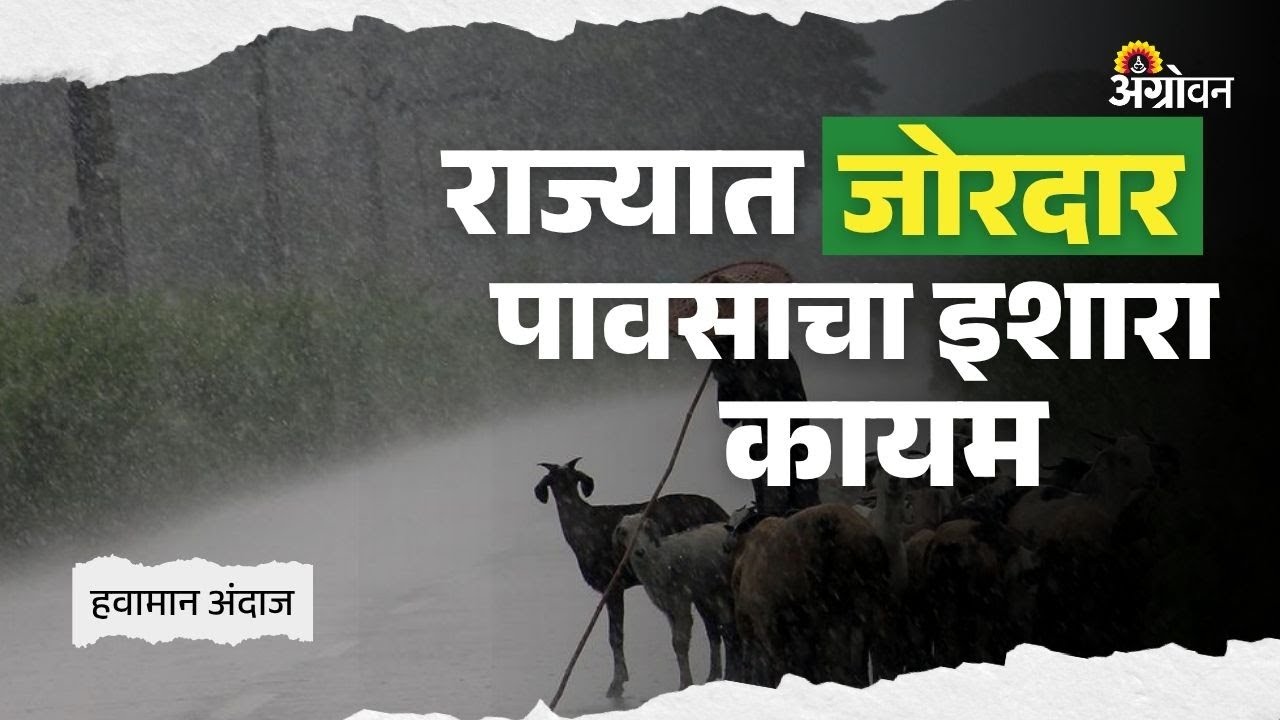 Monsoon Update :  राज्यात जोरदार ते अति जोरदार पावसाची शक्यता