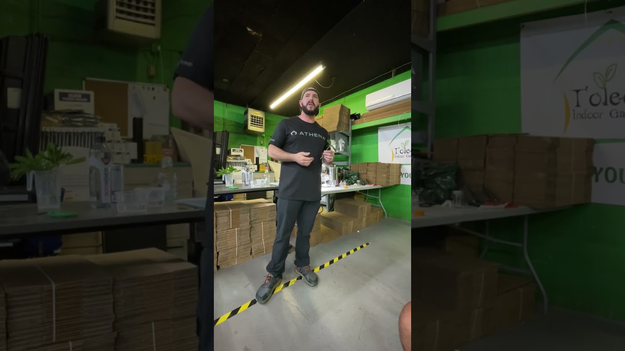 Athena Tissue Culture tutorial presented by DankemsHunter