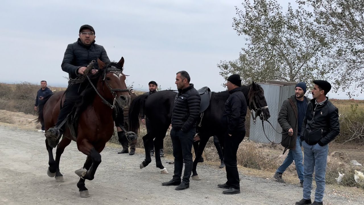 Zəfər günü yarışı 2400 m 🇦🇿!!! 1. Hako (Gəncə Yurd) 2. Yaquar (Bakı) 3. Bəxşi (Gəncə Yurd)