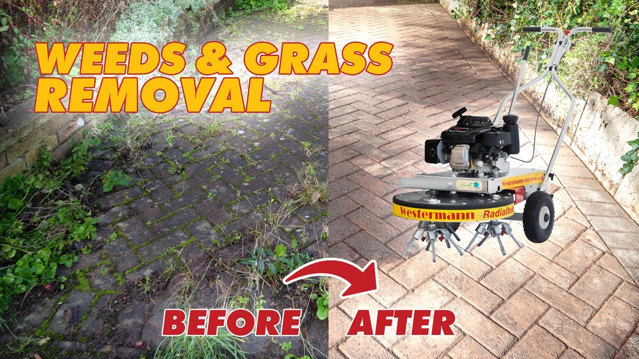 How to clear overgrown weeds and grass from your drive