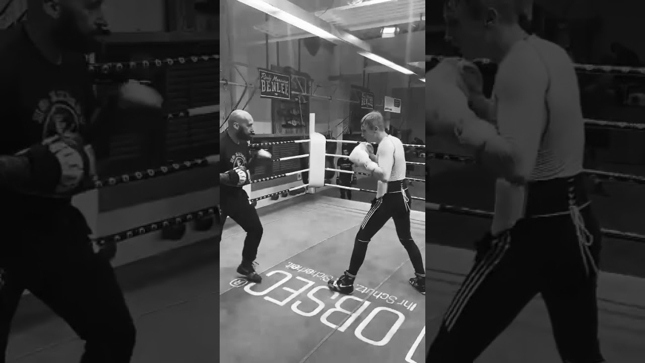 No Limit Boxing Training Boxen