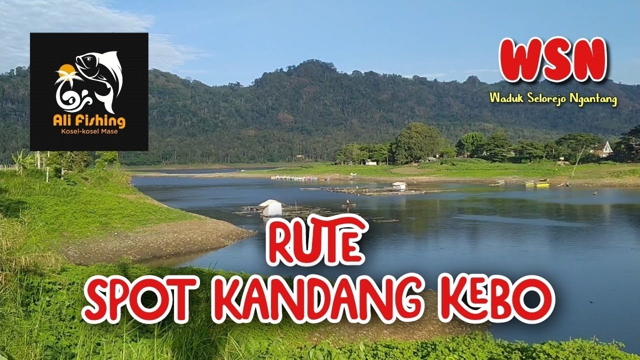 RUTE LENGKAP SPOT KANDANG KEBO || WSN (Waduk Selorejo Ngantang)