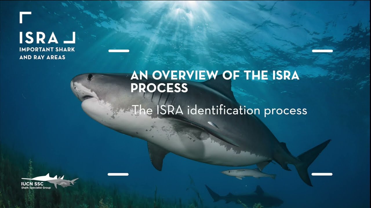 1.4  ISRA Identification process