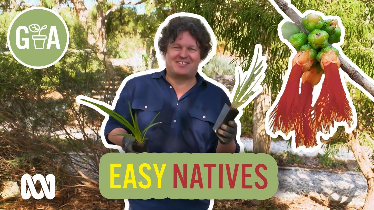 Fill Gaps with Native Plants | Australian native plants | Gardening Australia