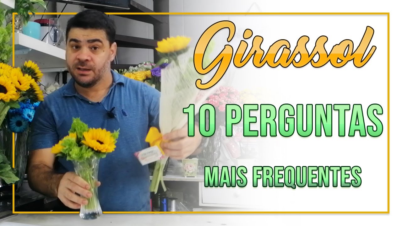 10 perguntas mais frequentes sobre girassol #plantas #girassol #flores