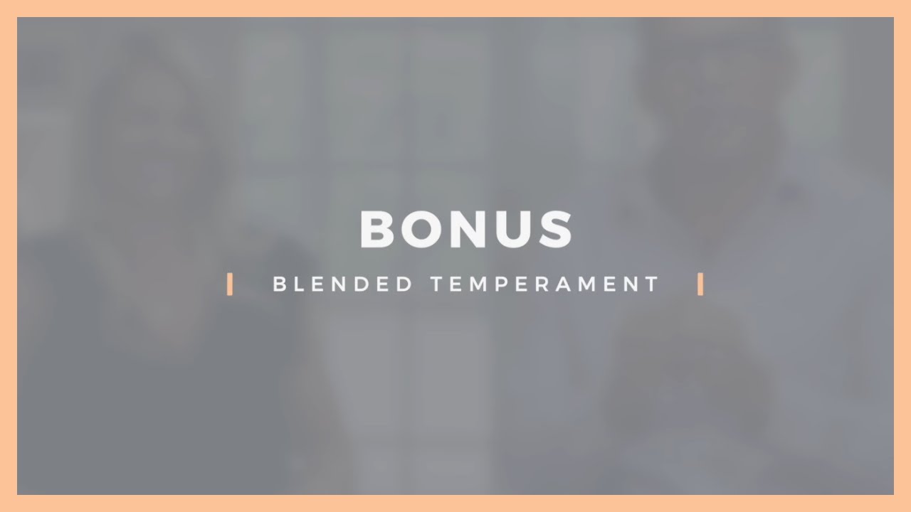 Blended Temperament