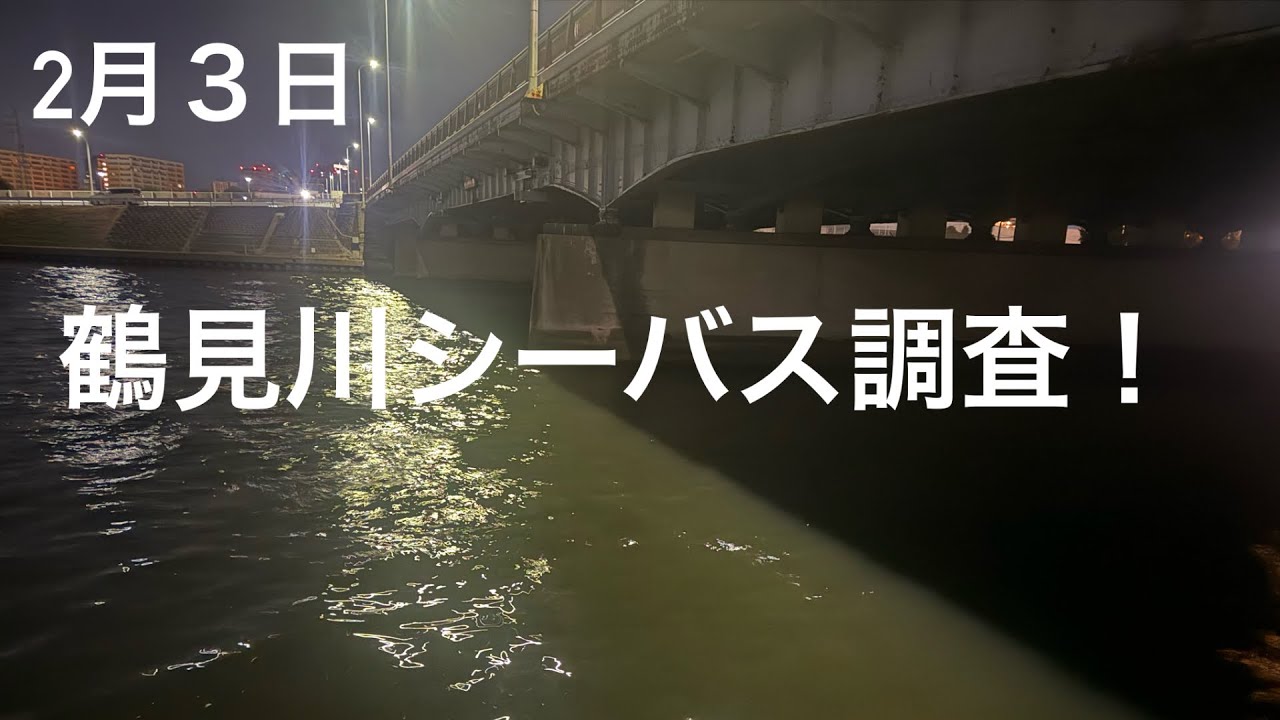 【鶴見川】2月３日鶴見川シーバス調査