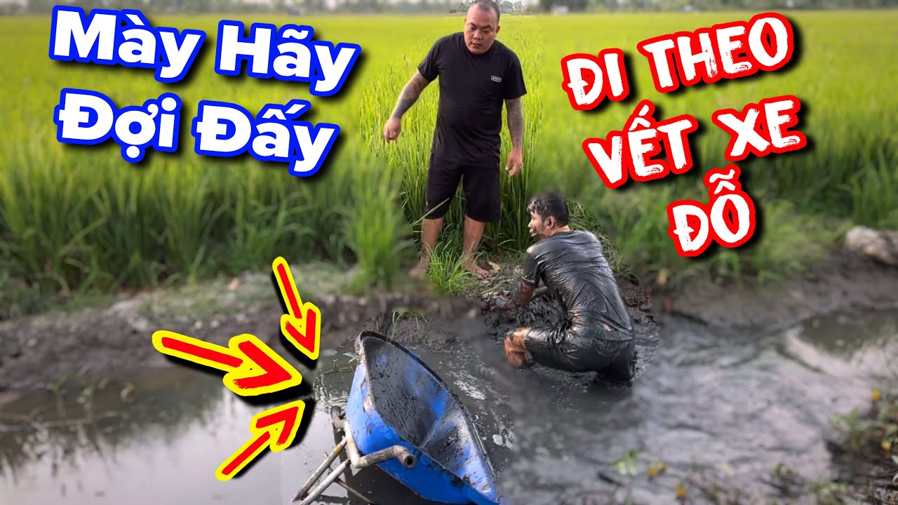 Ku Vàng đi theo vết xe đỗ của Thánh Xàm bị cho lên bờ xuống ruộng không còn nhìn ra m