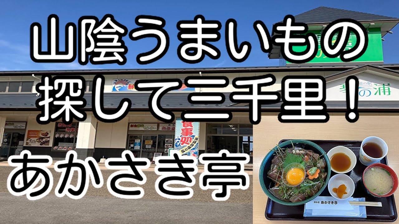 山陰うまいもの探して三千里！ 鳥取県琴浦町 あかさき亭 「海鮮づけ丼」