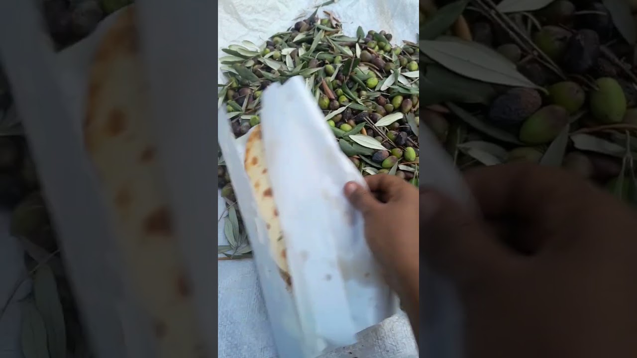 የወይራ ዘይት አሰራር