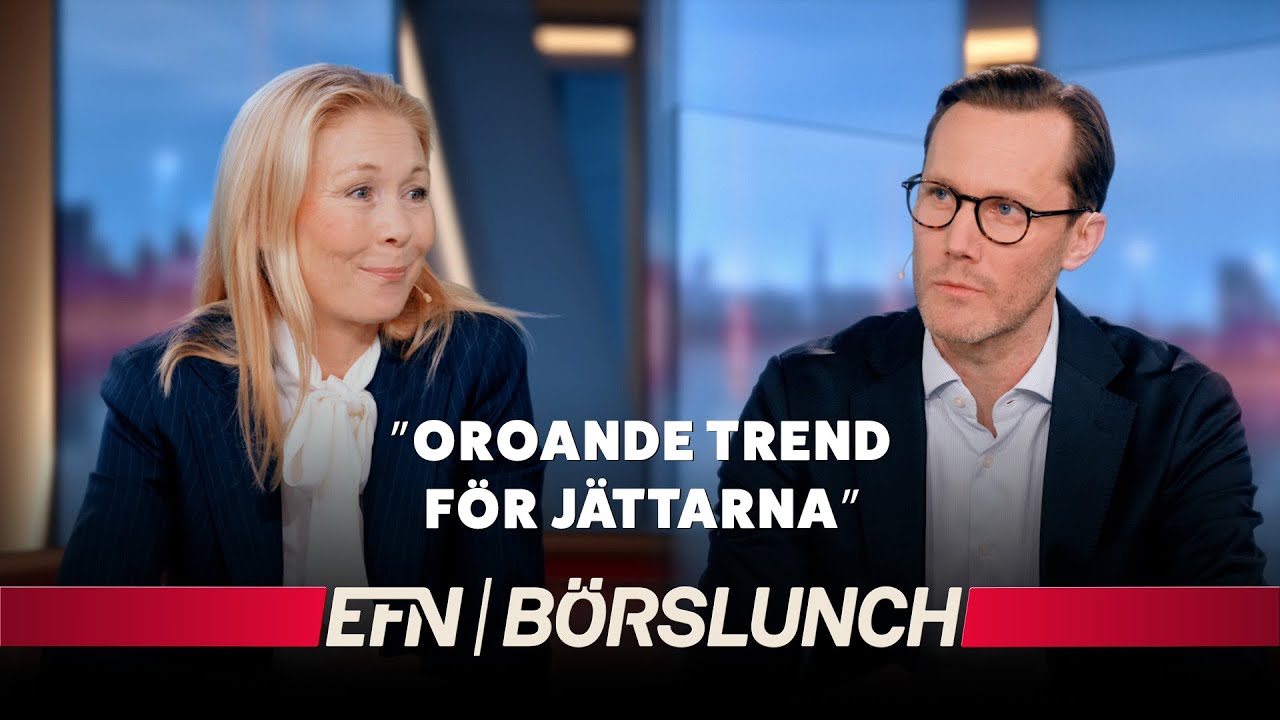 Spännande rapporter och kommande börsrally
