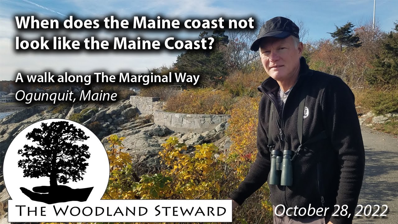 When Does the Maine Coast Not Look Like the Maine Coast? The Marginal Way - 10/28/22