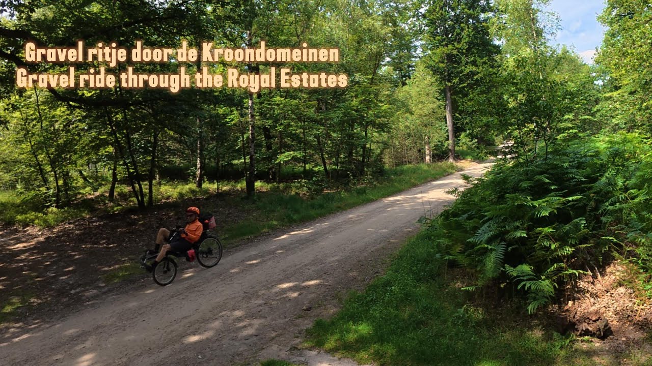 Kroondomeinen, Veluwe | Challenge Wizard recumbent gravel bike ride | ligfiets gravelrit