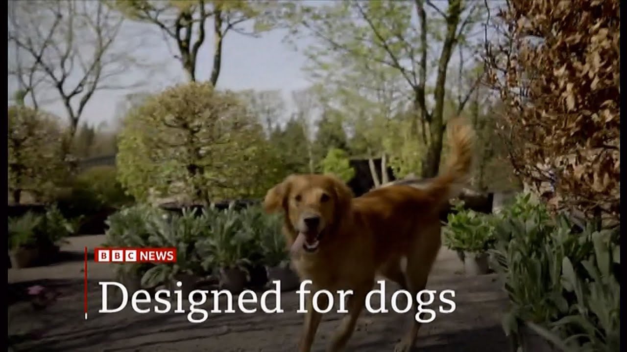Garden designed for dogs - Monty Don and Chelsea flower show (UK) 17/Apr/2025