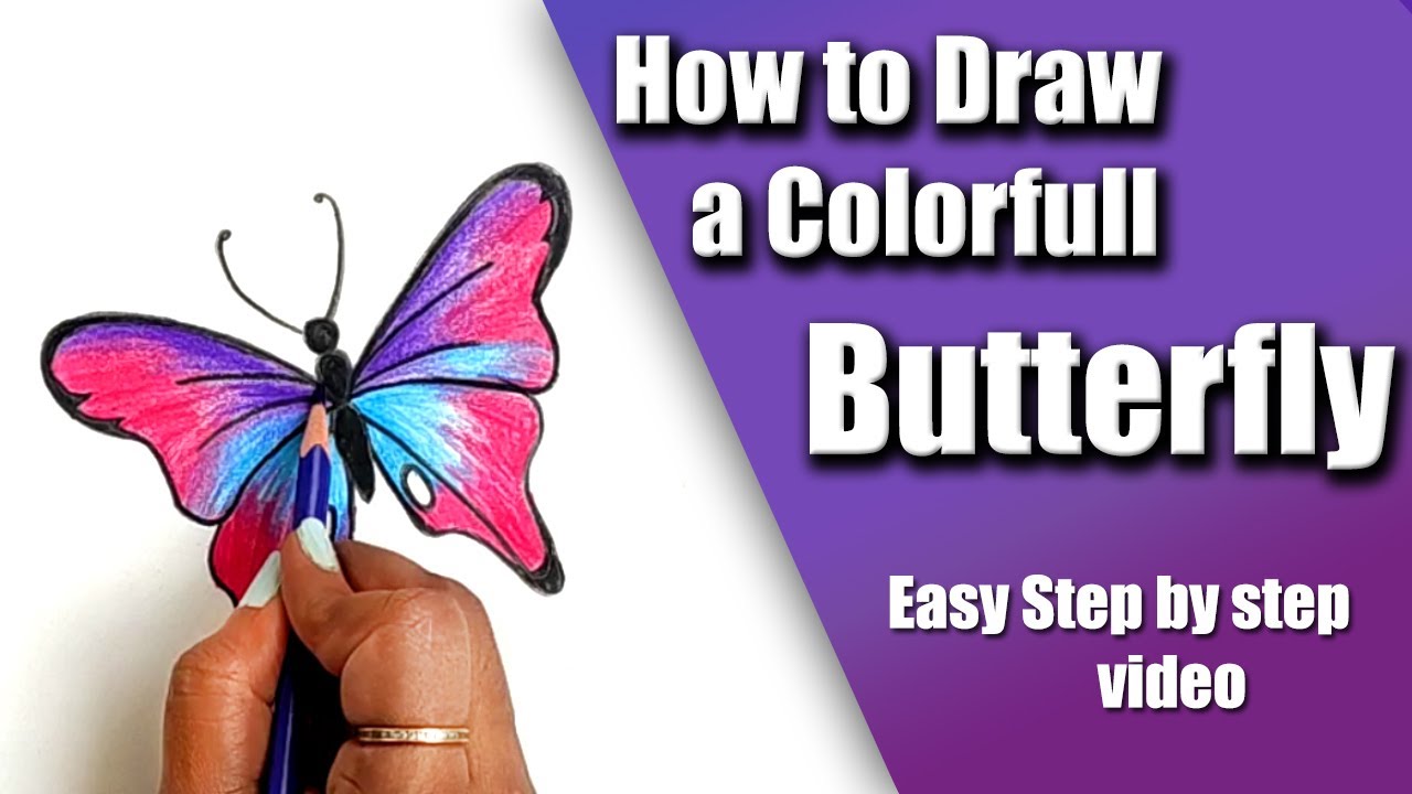 Butterfly Color Pencil Drawing | Butterfly Drawing Easy Step by Step | How to Draw Butterfly | Draw
