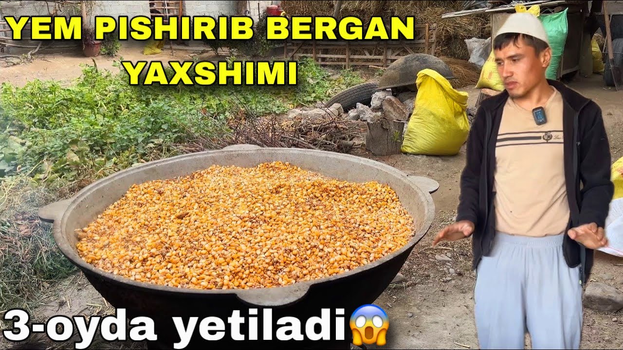 🔥 3 OYDA SOVLUQ TAYYOR! QURUQMI YOKI PISHGAN EM? HAQIQIY USUL! 🐏 