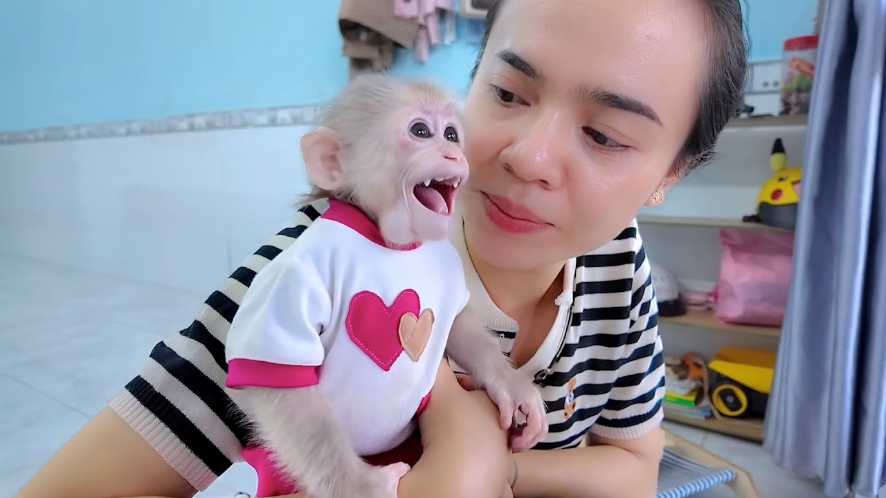 Molly And Mom – 30 Days Without You But Full Of Love