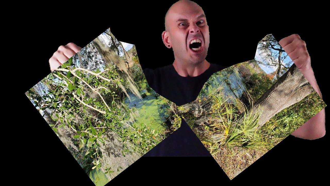 Critiquing My Own Photos - 5 Tips To Evaluate The Artistry Of Your Work - Brutal Judgment #squidshot