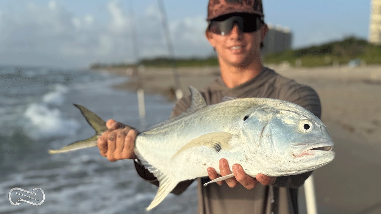 FISHING FOR SHARK BAIT CUDA JACK STING RAY