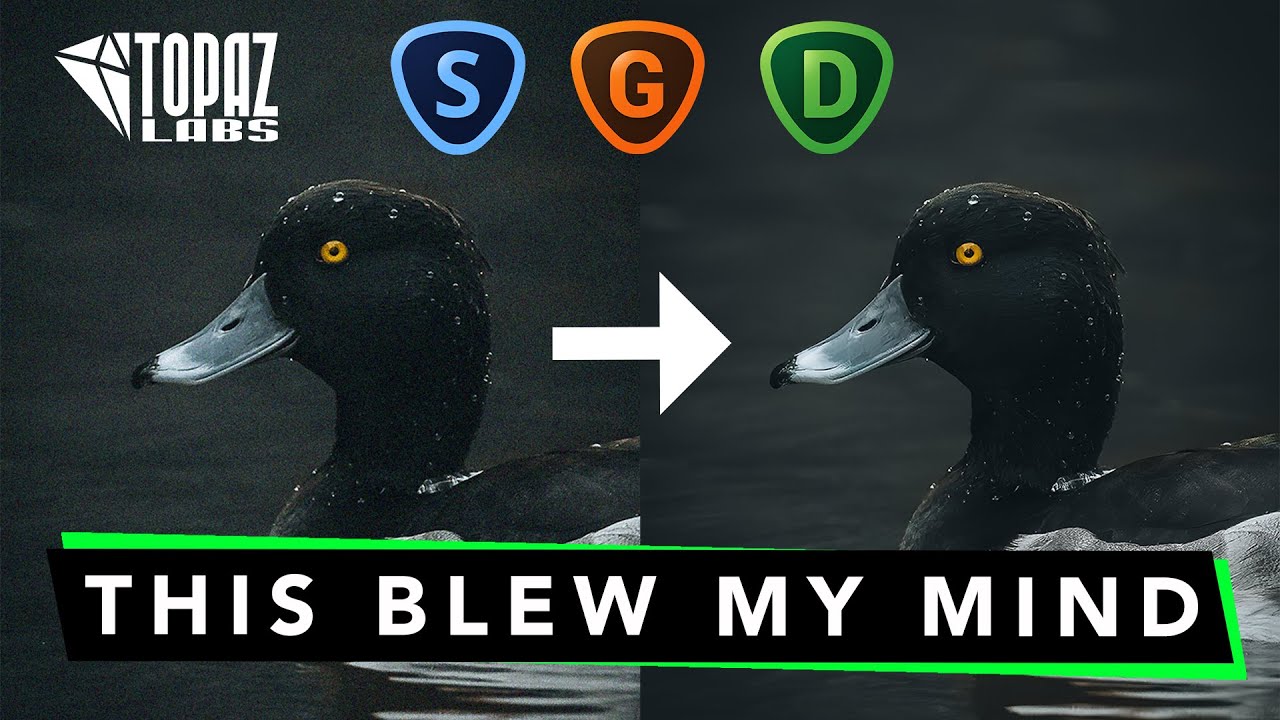 THIS BLEW MY MIND! - Topaz Labs Photo Editing Review