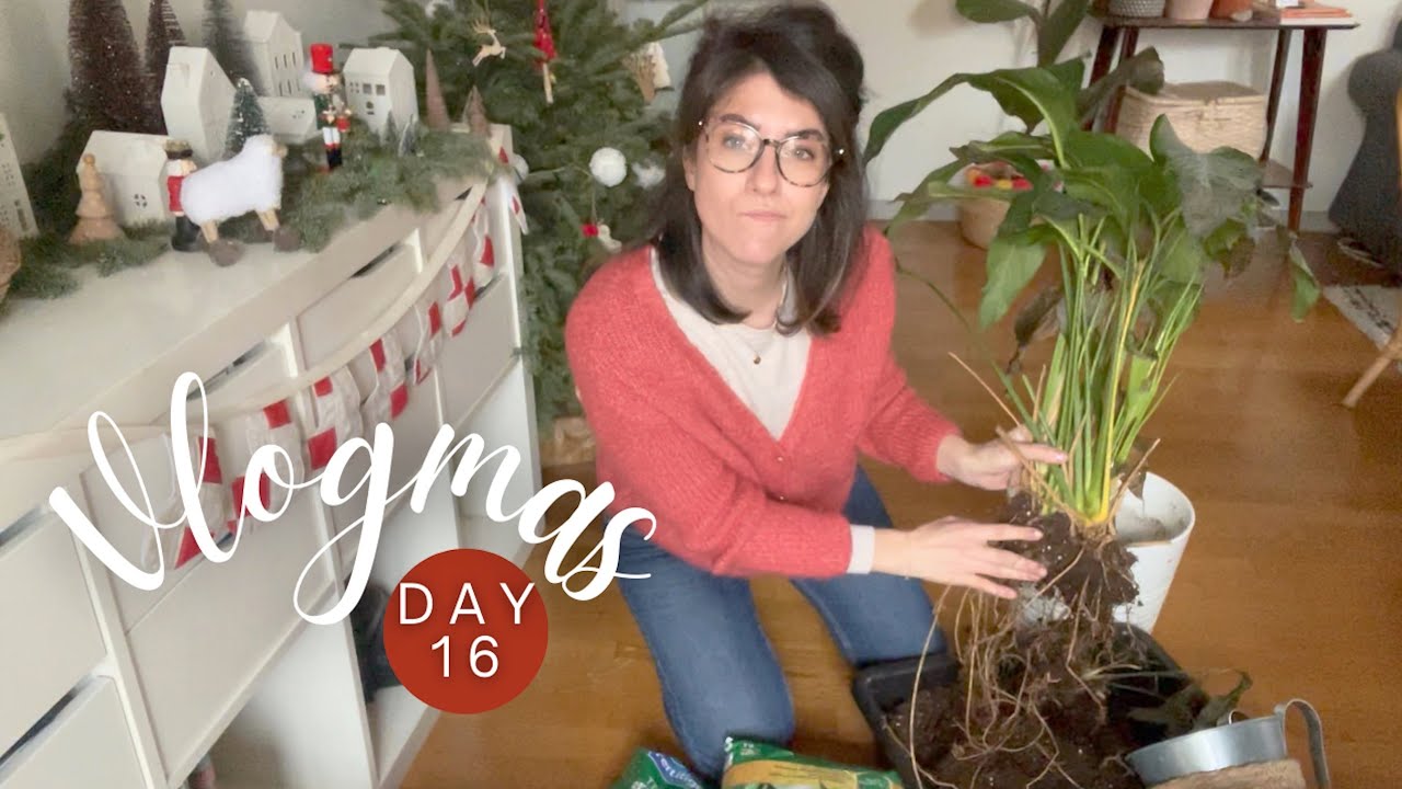 Sauvetage de Spathiphyllum, Pilea et plantes grasses en Hiver + guirlande patchwork Terminée !