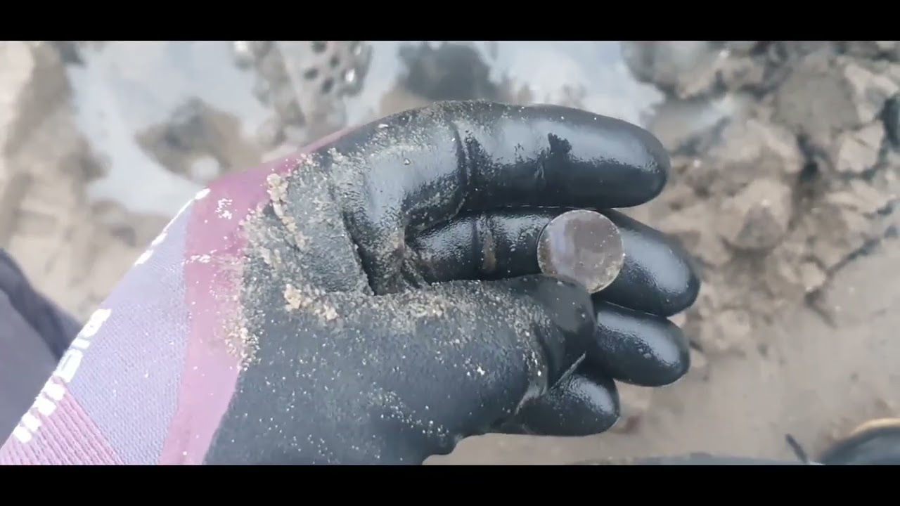 Beach treasurehunt in Scotland. #metaldetecting #chakan #deus2 #detector #coins 