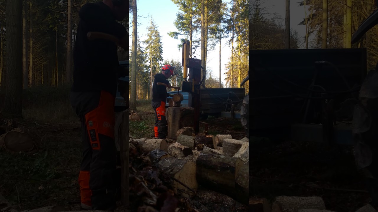 Log splitting pickaroon sappie log pick hookaroon