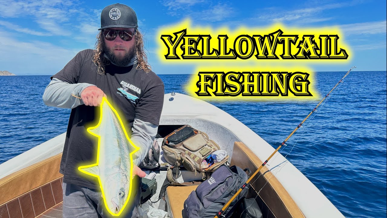 Fishing Bahía de los Ángeles Part 2 (Yellowtail Fishing)