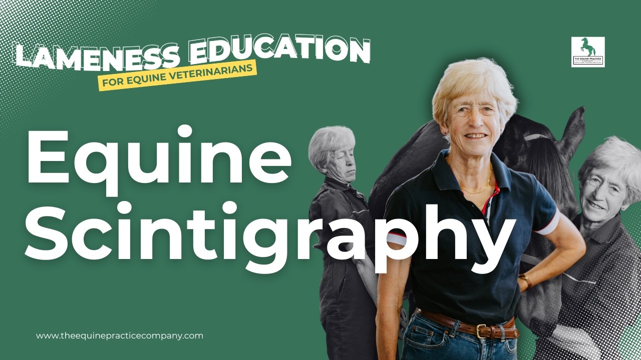 Equine Scintigraphy: When Bone Scans Help Diagnose Lameness