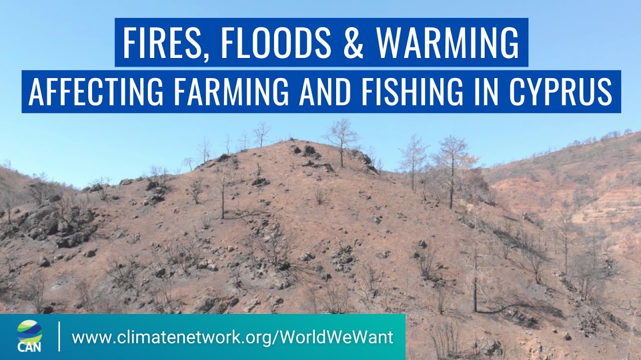 Impacts on Farming and Fishing in Cyprus | #WorldWeWant