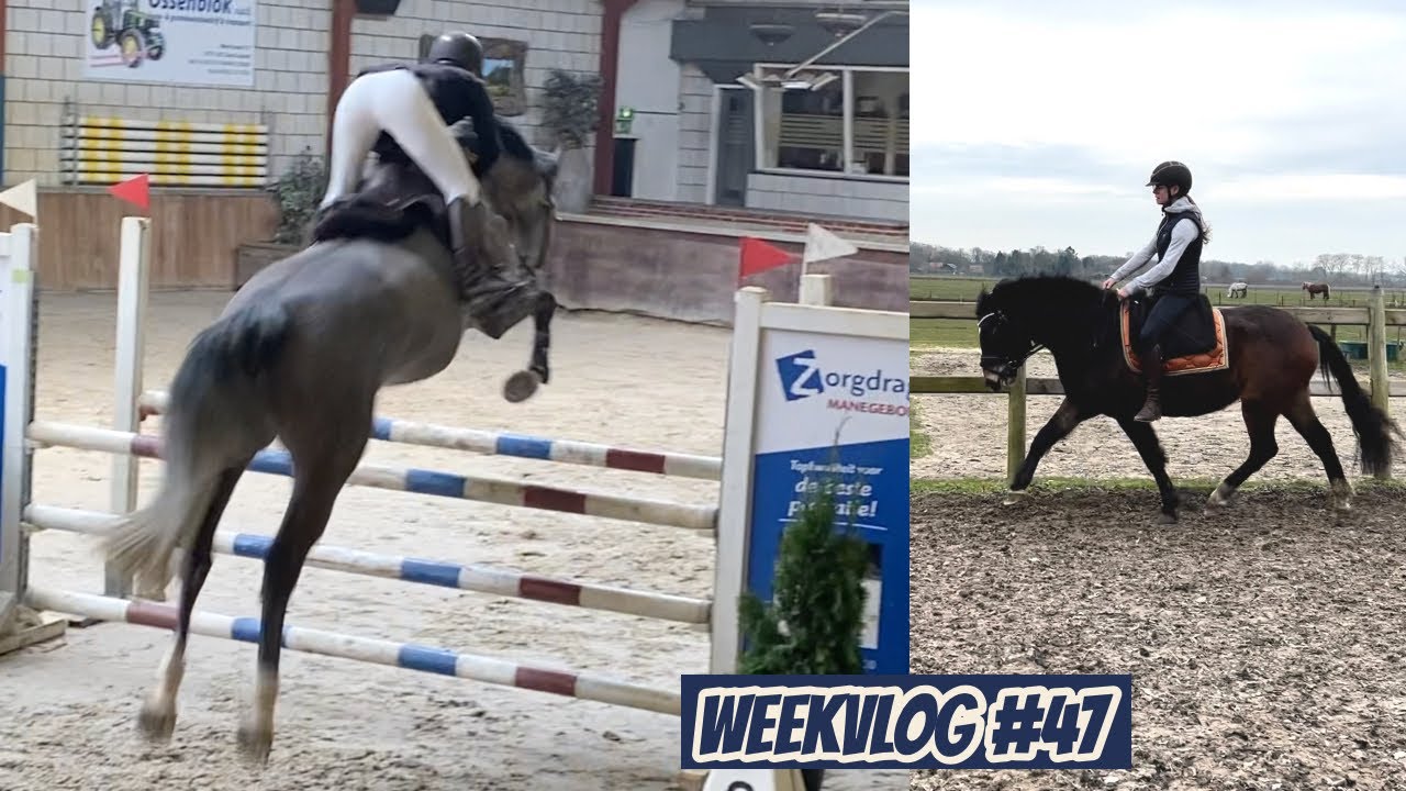 WEDSTRIJD MET LENTE, PONY ZADELMAK MAKEN & TAND KWIJT | Weekvlog 47 | Horses by Demi