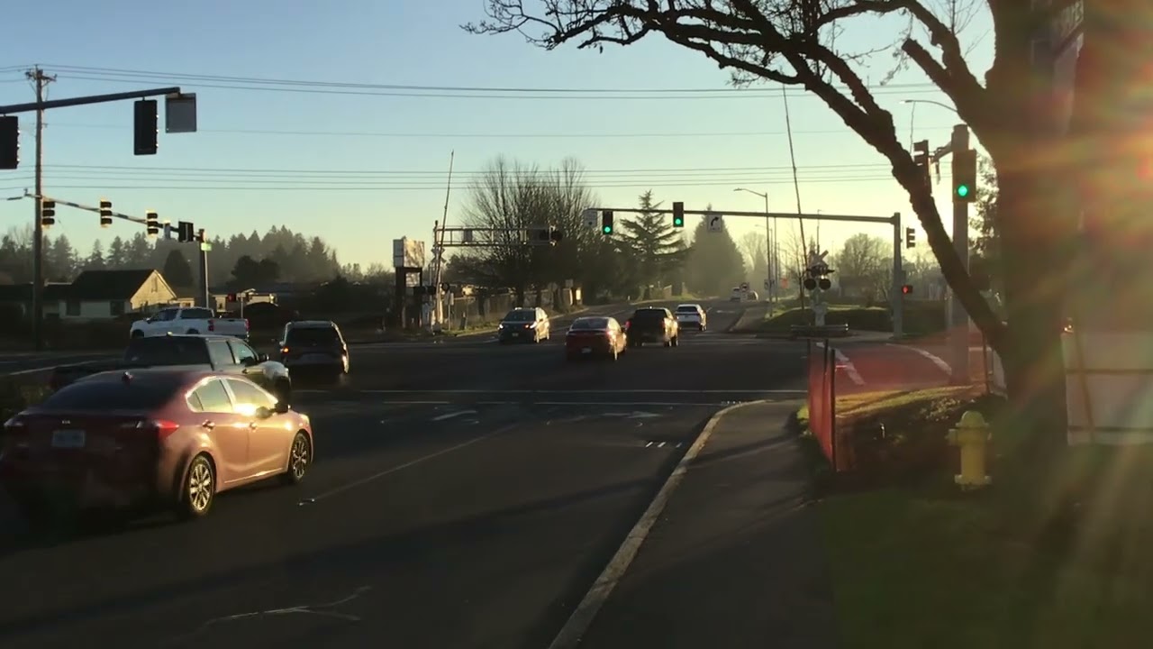 New McCain 🚦bright Traffic Signals