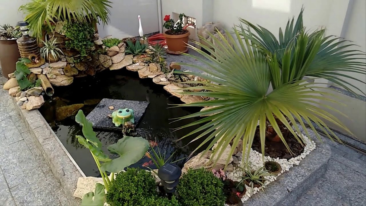 Mini lago de carpas