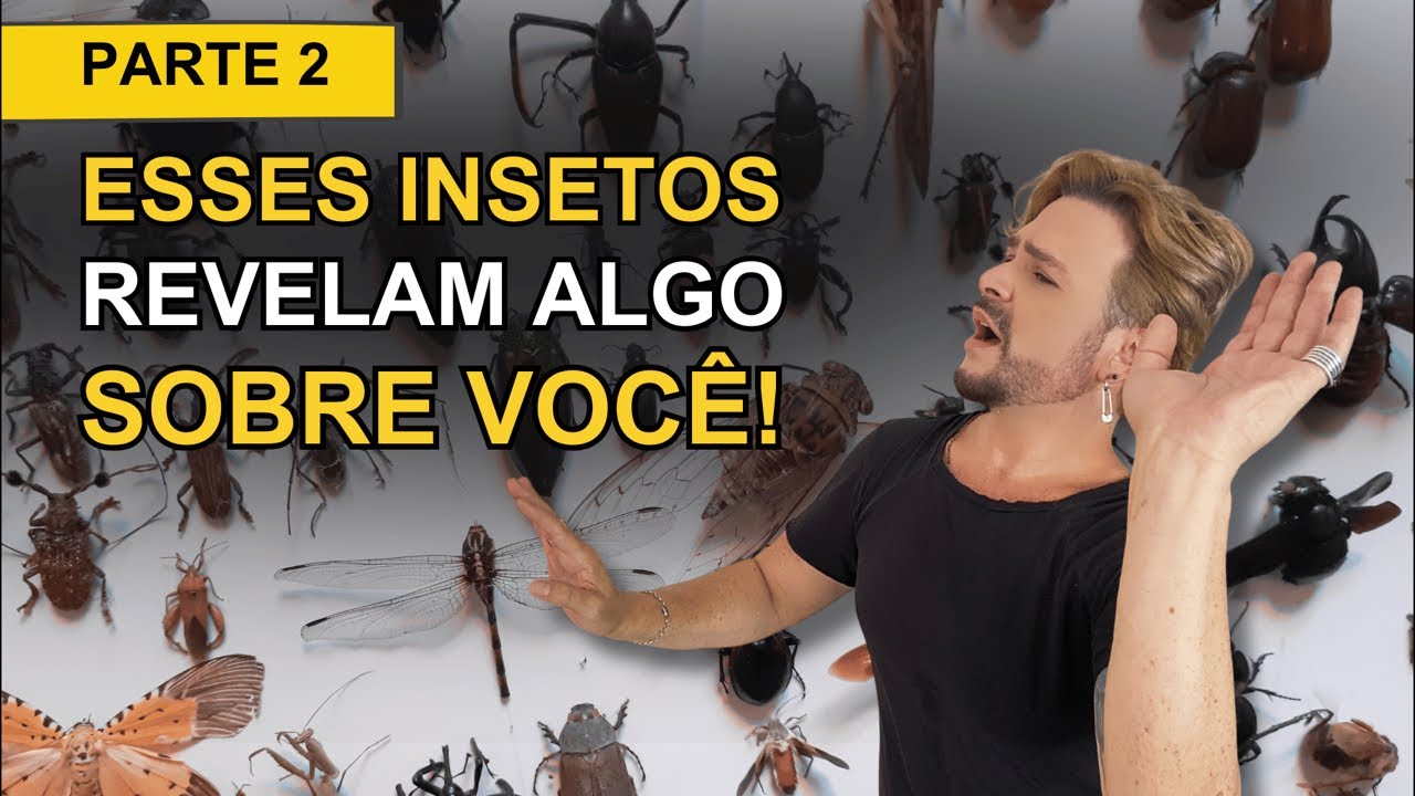 O QUE NINGUÉM TE CONTOU SOBRE INSETOS E PRAGAS NA SUA CASA (PARTE 2) / LUIZ NETTO
