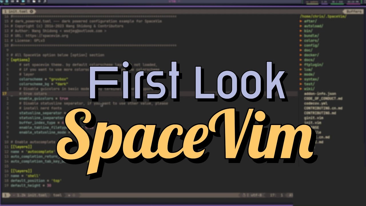 First-look - SpaceVim