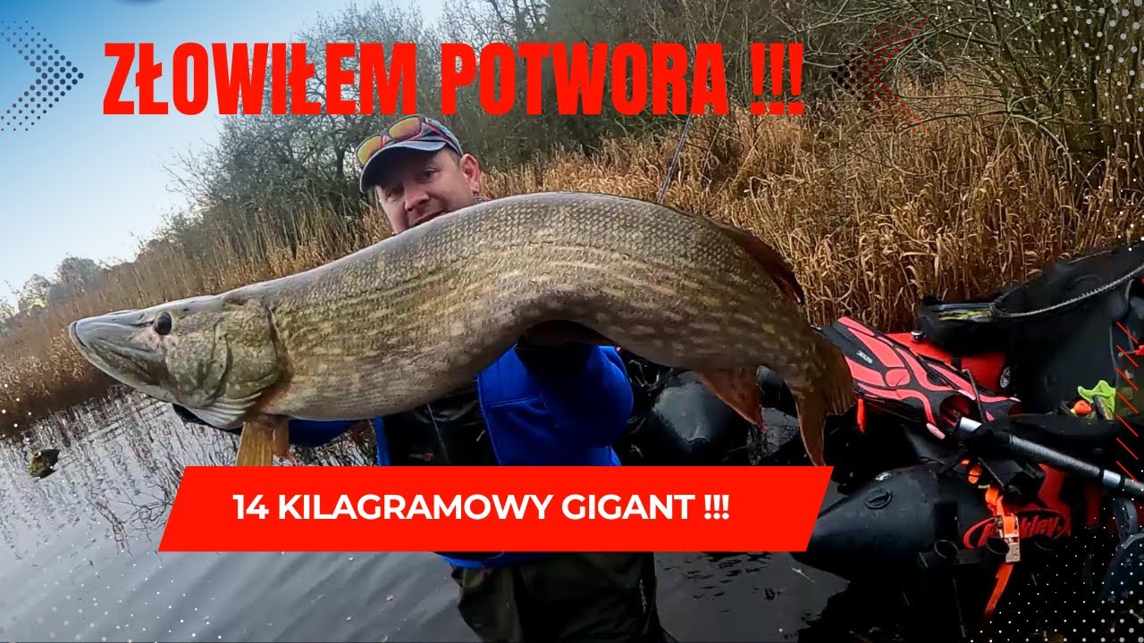 Mega połów !!! Złowiłem potwora !!!  Mega catch!!! I caught a monster!!!   Multiple subtitles