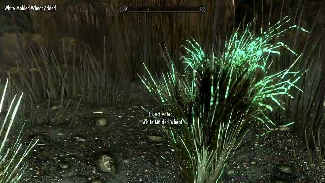 The Elder Scrolls V