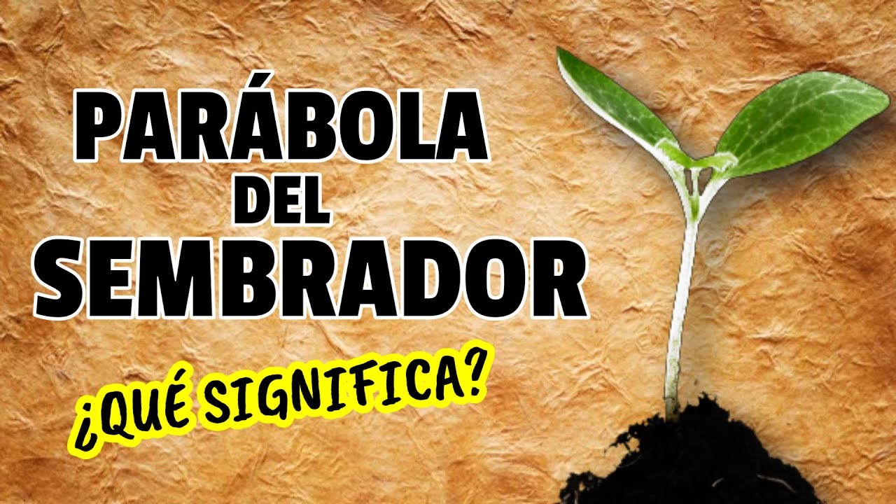 El SIGNIFICADO de la PARÁBOLA del SEMBRADOR
