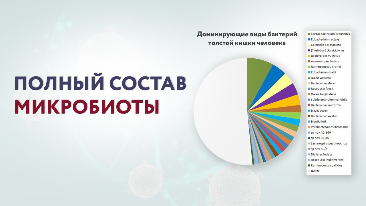 Микробиота: состав и факторы, которые на неё влияют