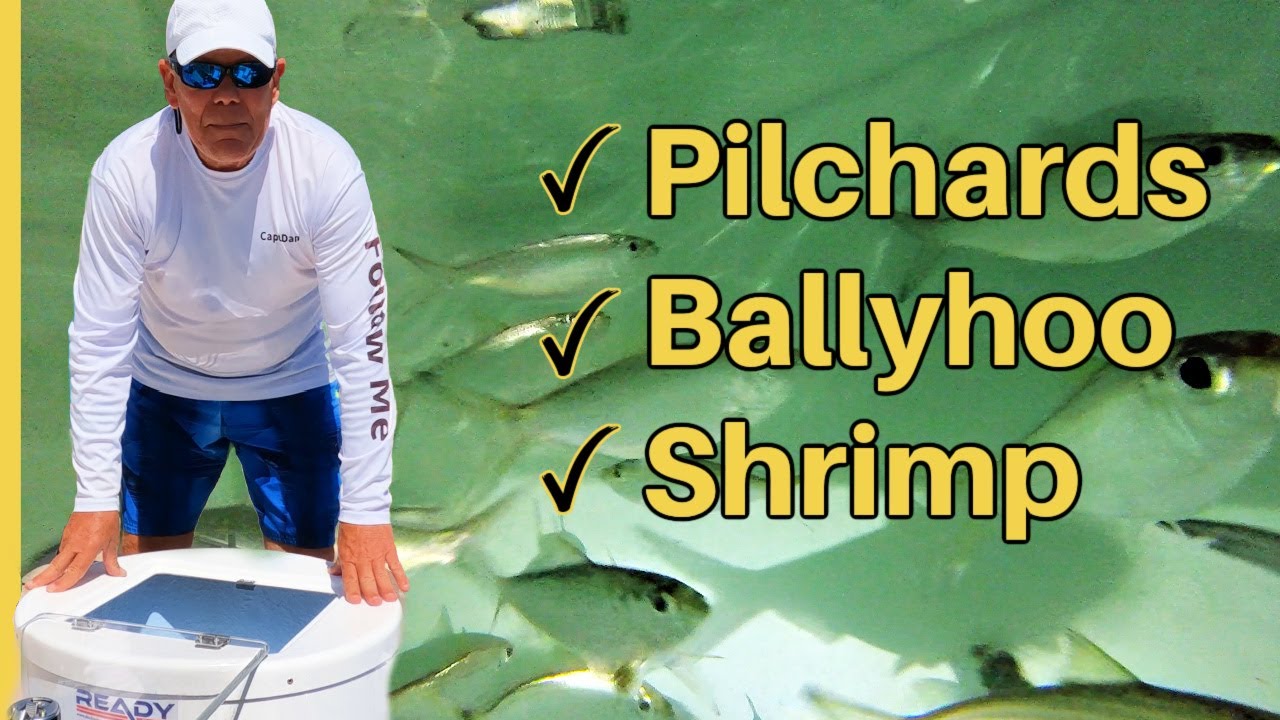 How to Catch & Keep Bait Alive for Days: Baitwell Setup & Testing!
