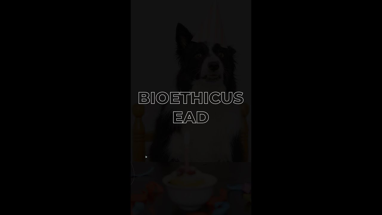 A plataforma EaD do Bioethicus est&aacute; fazendo 4 anos