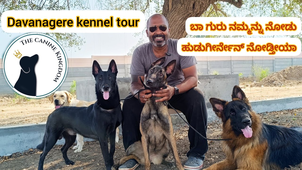Davanagere kennel tour🤣😂ಬಾ ಗುರು ನಮ್ಮನ್ನ ನೋಡು ಹುಡುಗೀರ್ನೇನ್ ನೋಡ್ತೀಯಾ